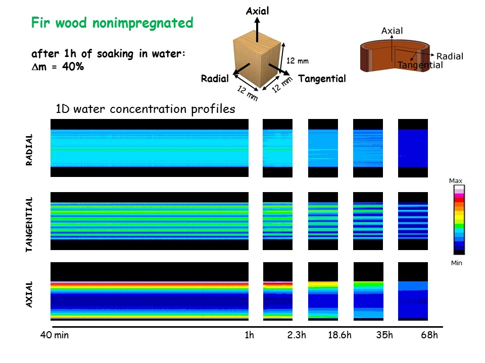 MC profiles of nonimpregnated fir